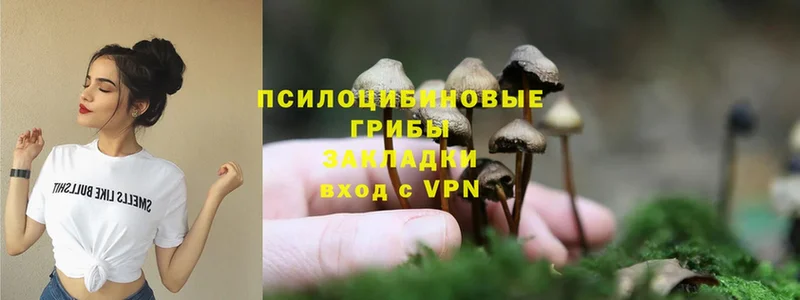 Псилоцибиновые грибы Magic Shrooms  где найти наркотики  hydra сайт  Ноябрьск 